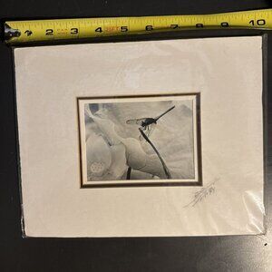 Fine Art Black & White Print Science Fiction Winged Bug Matted Signed 10x8”